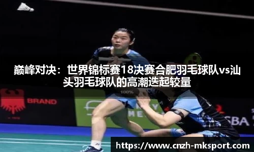巅峰对决:世界锦标赛18决赛合肥羽毛球队vs汕头羽毛球队的高潮迭起较量